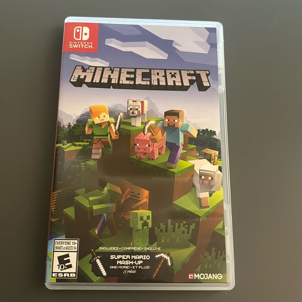 Old Minecraft game for Nintendo switch